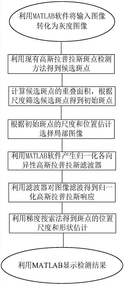 Image spot detection method based on anisotropic Gaussian kernel and gradient search