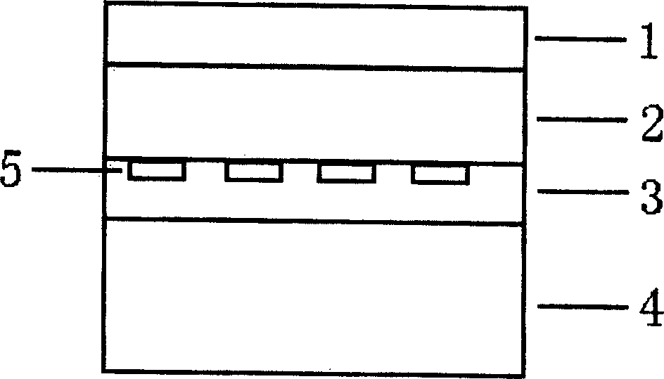 Flexible tactile sensor and method for detecting infomation of tactile sensation