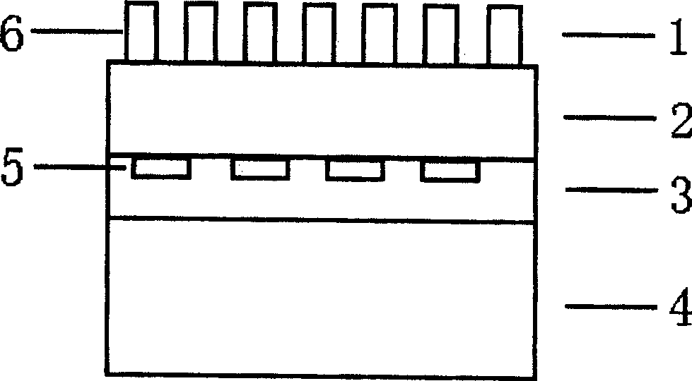 Flexible tactile sensor and method for detecting infomation of tactile sensation