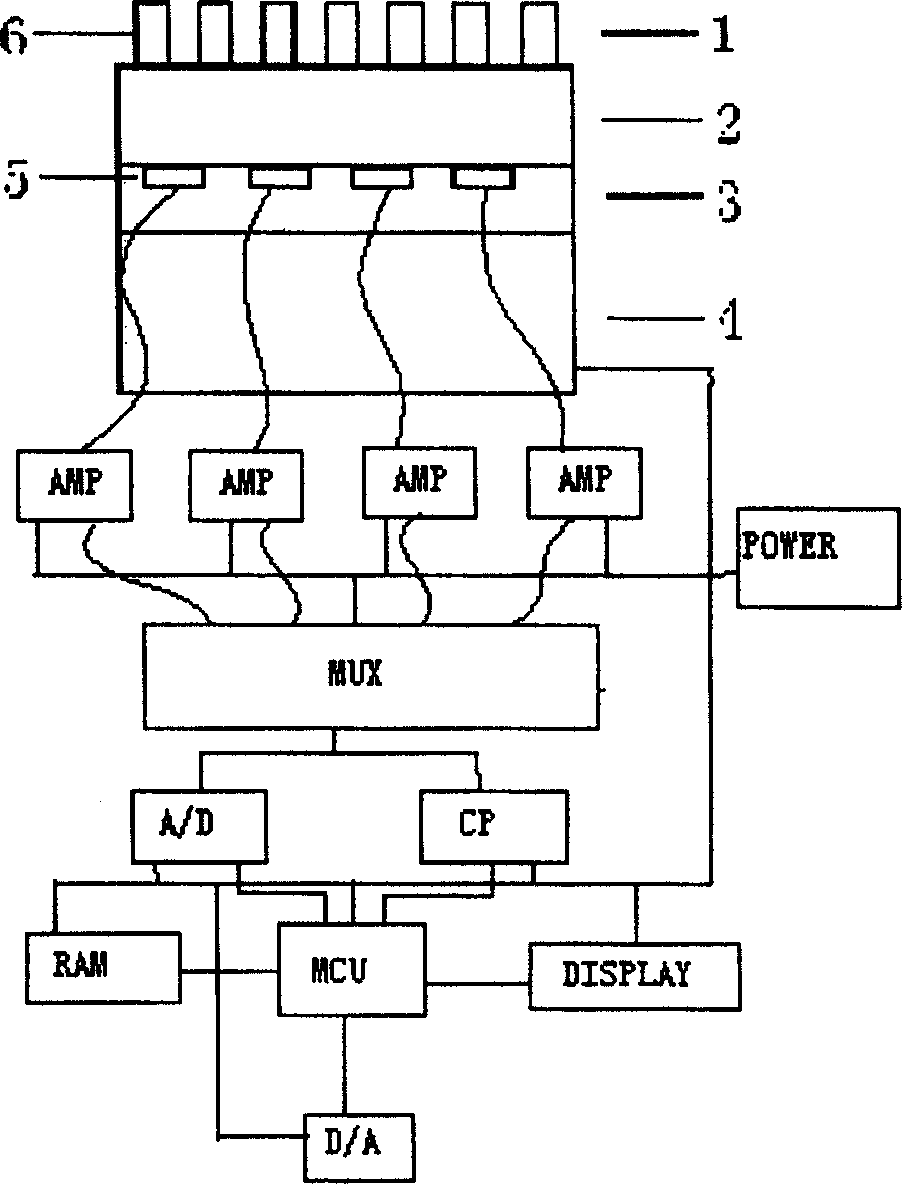 Flexible tactile sensor and method for detecting infomation of tactile sensation