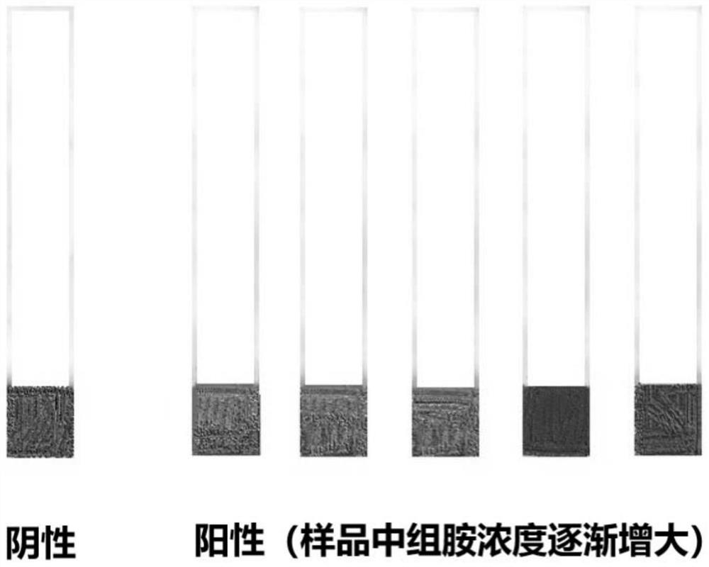 A kind of color comparison strip, color comparison card and detection method for rapid detection of histamine