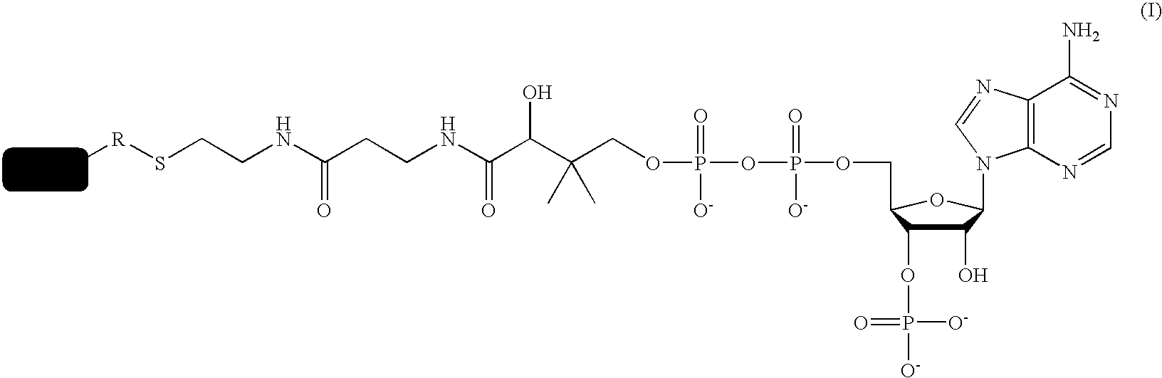 Methods for protein labeling based on acyl carrier protein