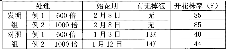 Method for adjusting and controlling flowering phase of dendrobium nobile