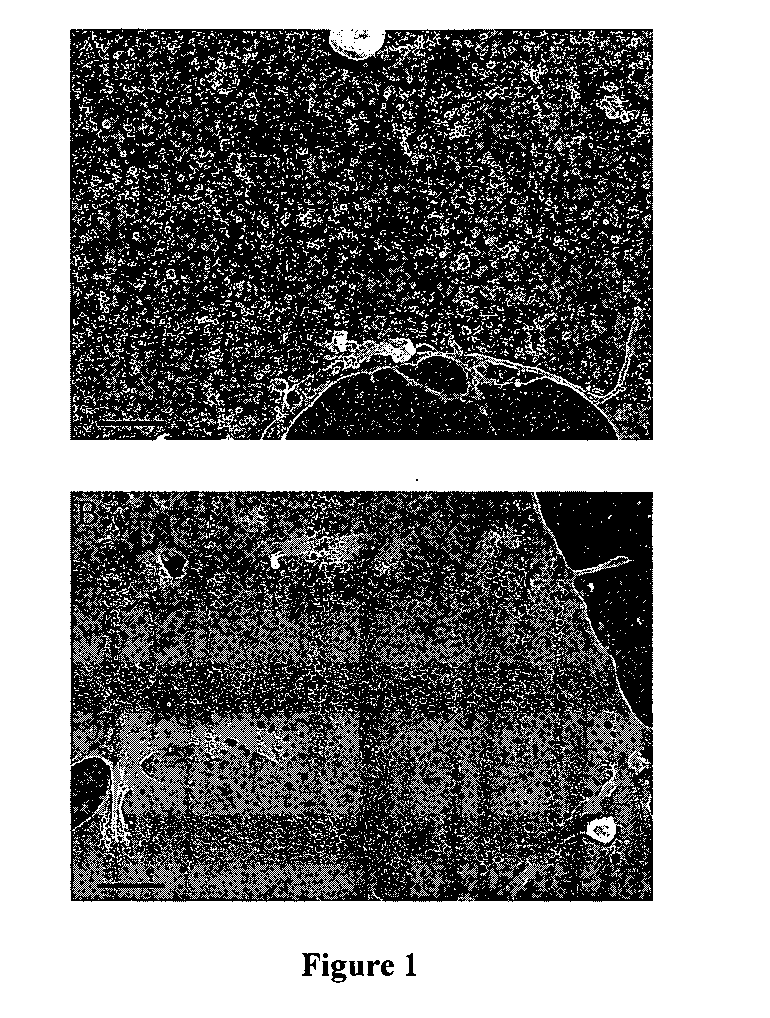 Method of inducing fenestrae