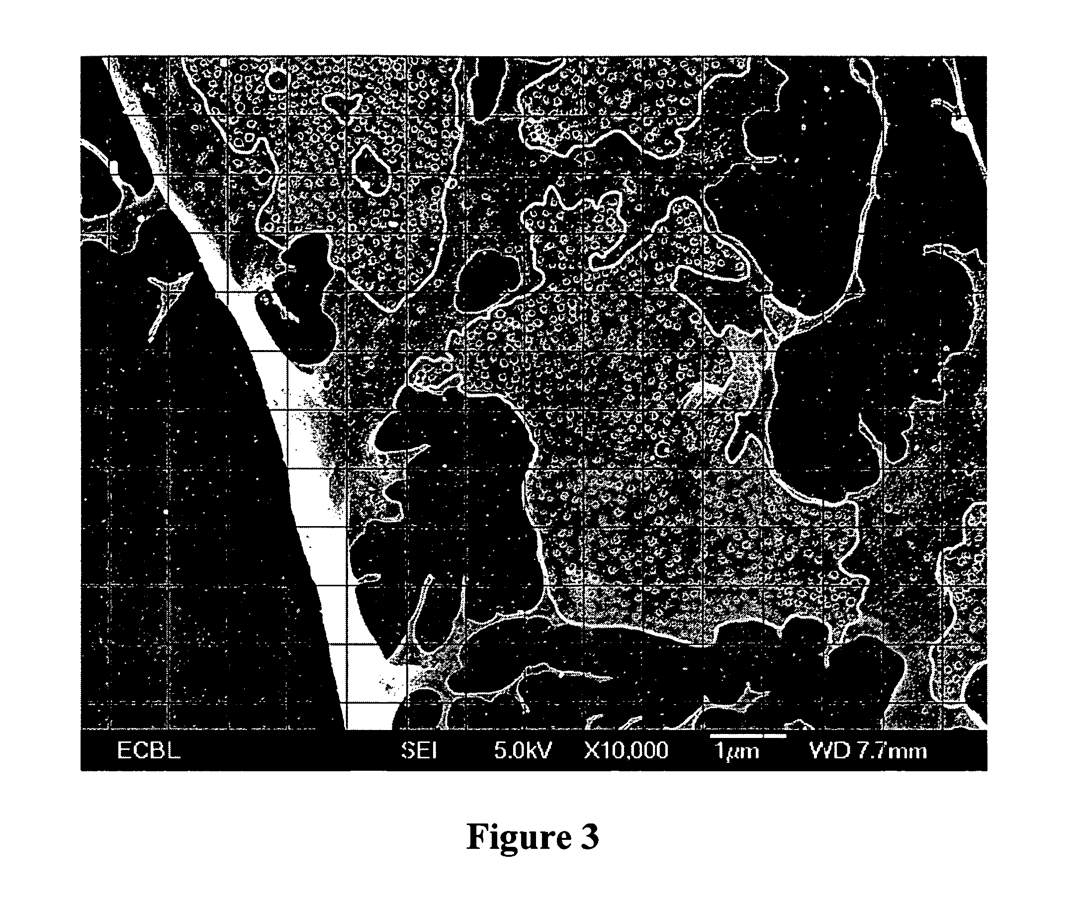 Method of inducing fenestrae