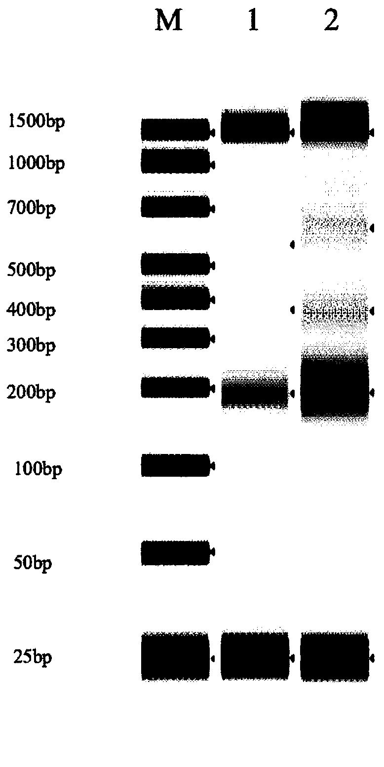 Kit for early screening of lung cancer based on peripheral blood