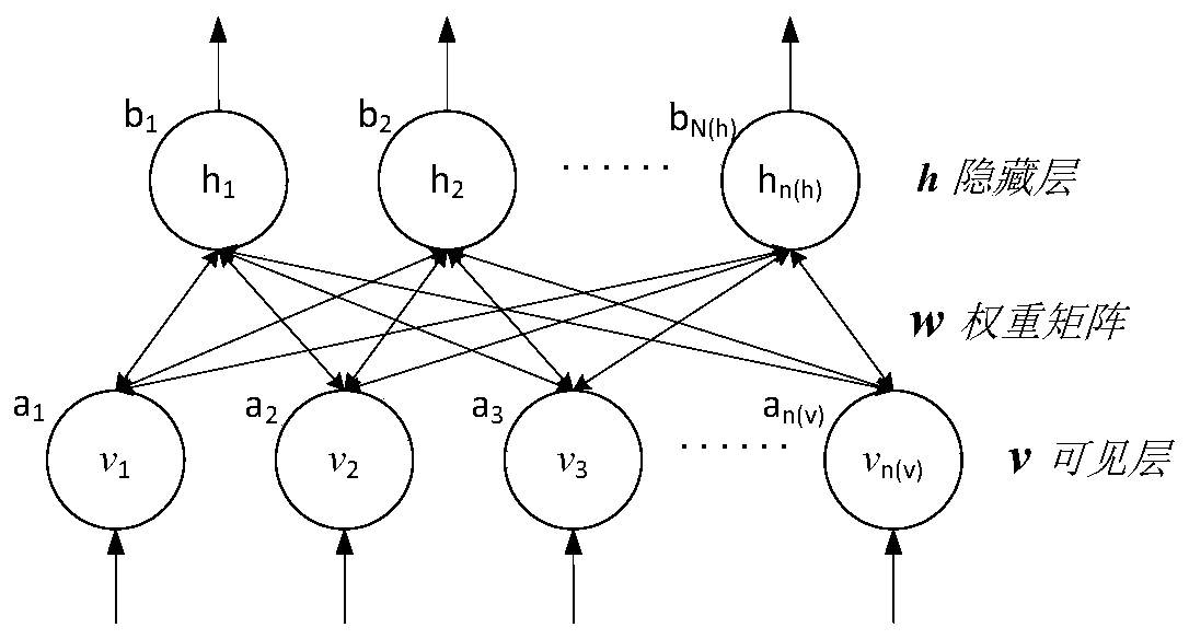 Water bloom prediction method based on space-time sequence hybrid model