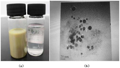 Non-dissolution type long-acting antibacterial protective non-woven fabric and preparation method and application thereof