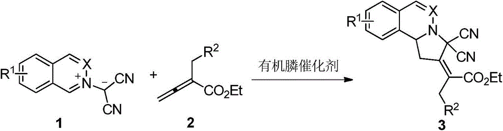 Phthalazinopyrrole compound and preparation method thereof