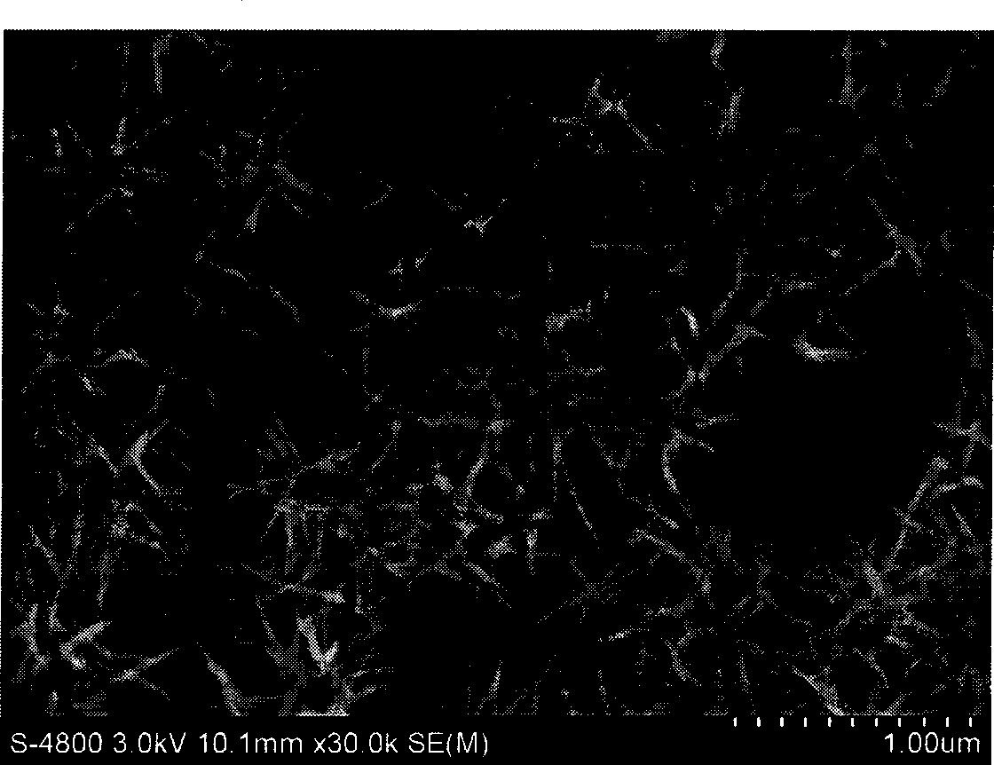 Hydroxyapatite nano-complex particle, preparation and uses thereof