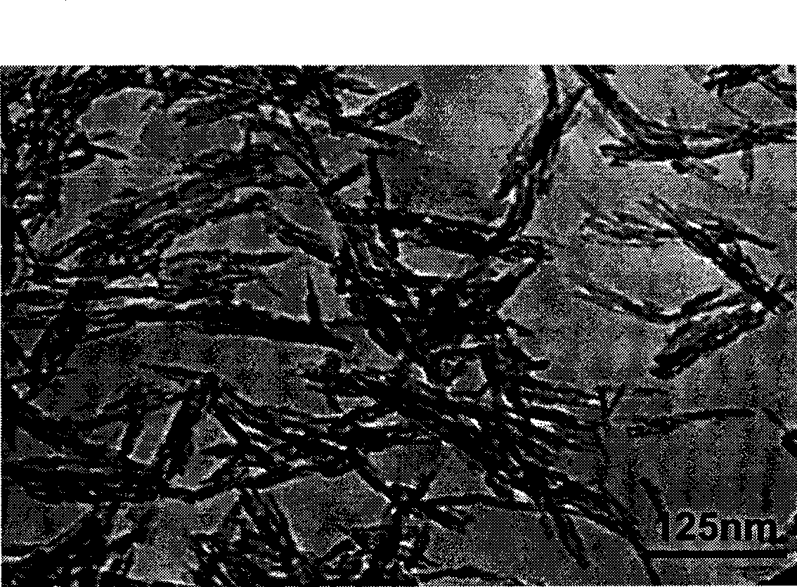 Hydroxyapatite nano-complex particle, preparation and uses thereof