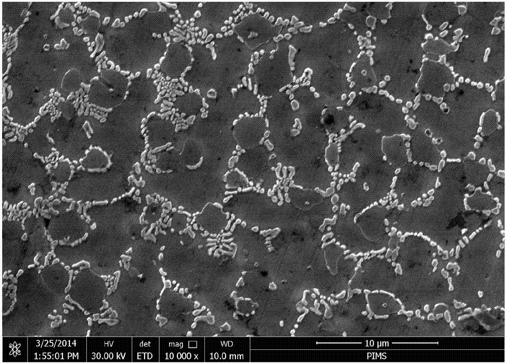 Cobalt-based alloy and cladding layer prepared from cobalt-based alloy