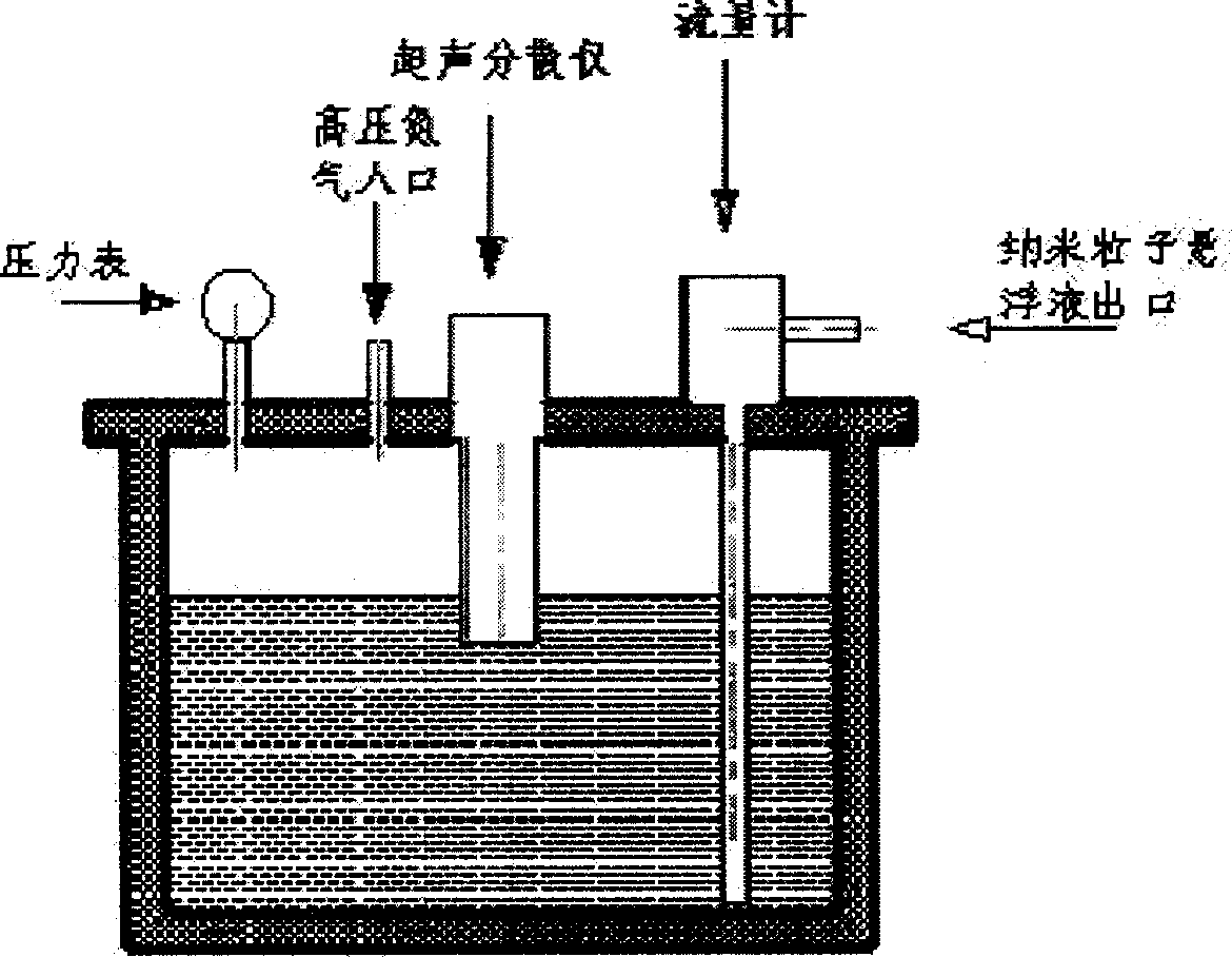 Preparing nano particle/thermoplastic polymer composite material by flexible method