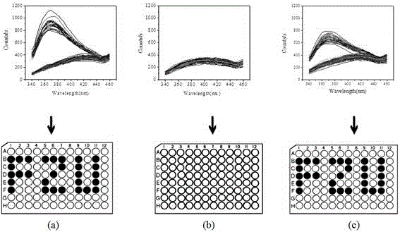 Nitrogen carbide quantum dot fluorescence ink