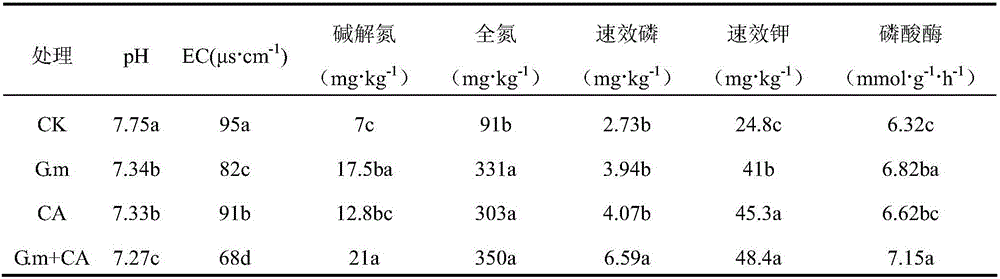 Method for promoting plant growth and improving soil through synergistic effect of arbuscular mycorrhiza and phosphate solubilizing bacteria