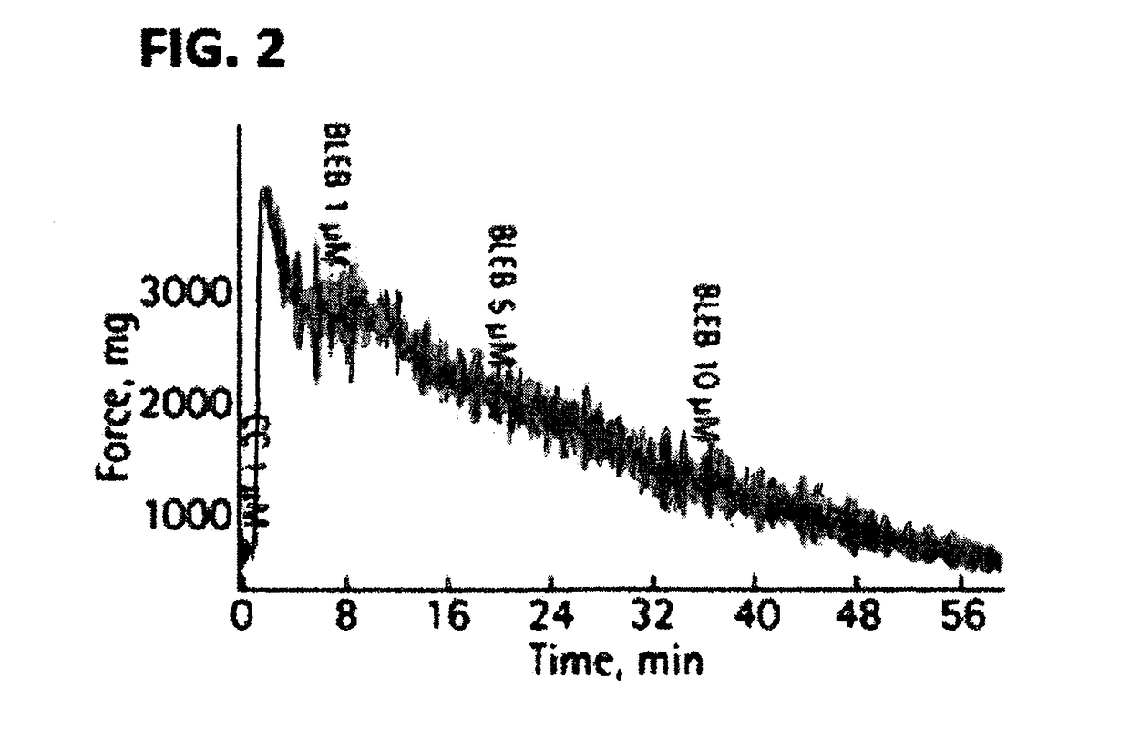 Myosin ii atpase inhibitor compounds