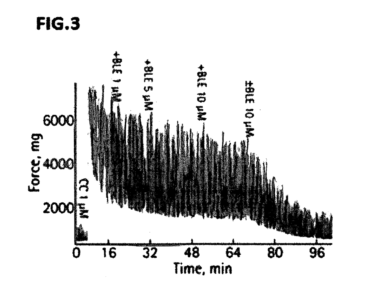 Myosin ii atpase inhibitor compounds