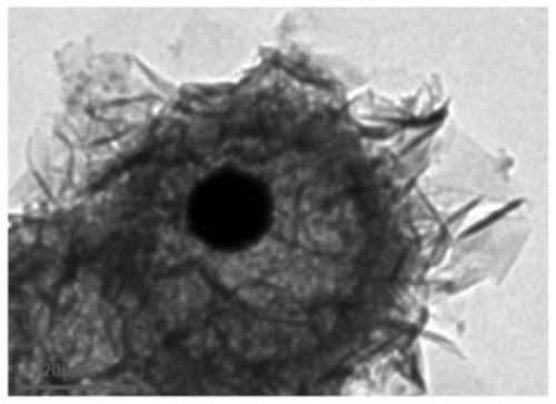 an au-tio  <sub>2</sub> Egg yolk structure nanocomposite and preparation method thereof