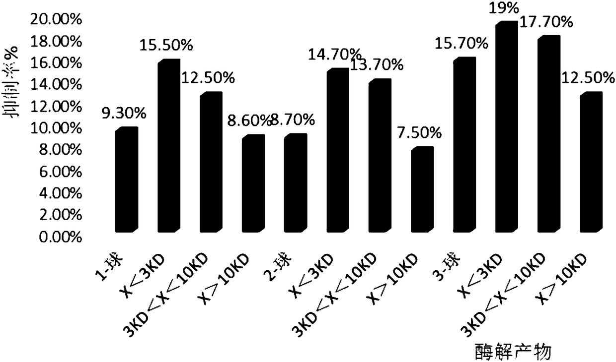 Preparation method of Xinjiang black bee royal jelly globulin enzymolysate with antioxidant activity