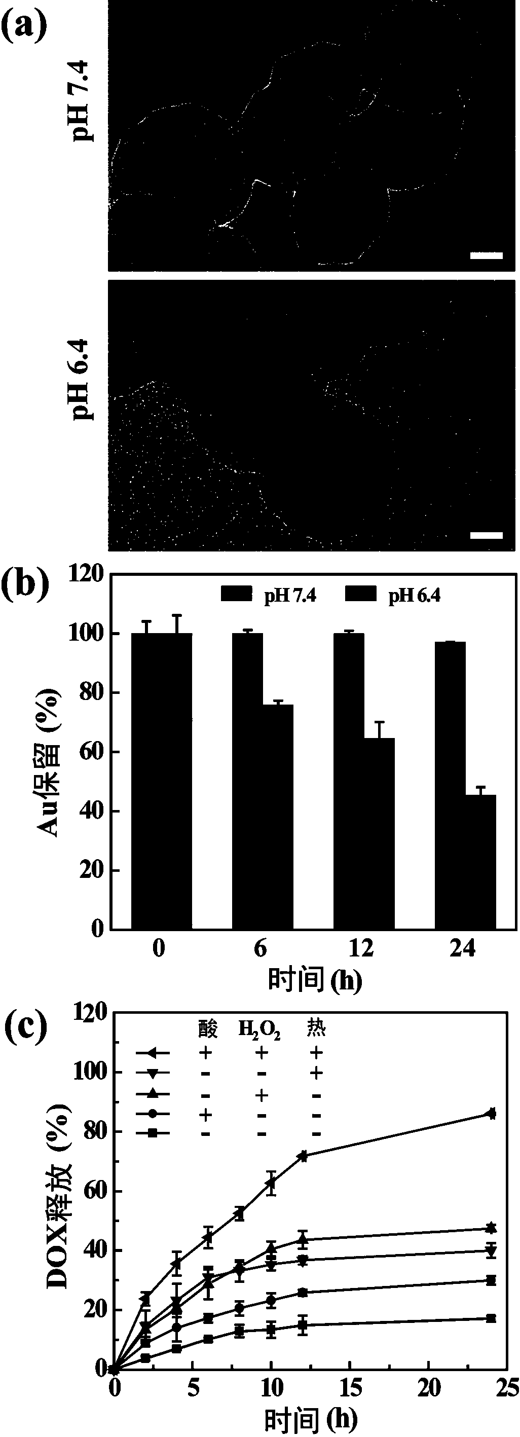 Preparation and application of medicine-carrying polydopamine/dendrimer-gold nanoparticles