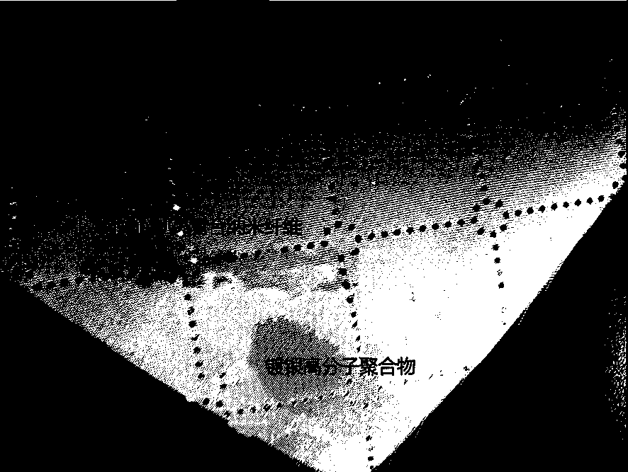 LiNbO3/PAN compound nanofiber electret anti-haze window screening and preparation method thereof