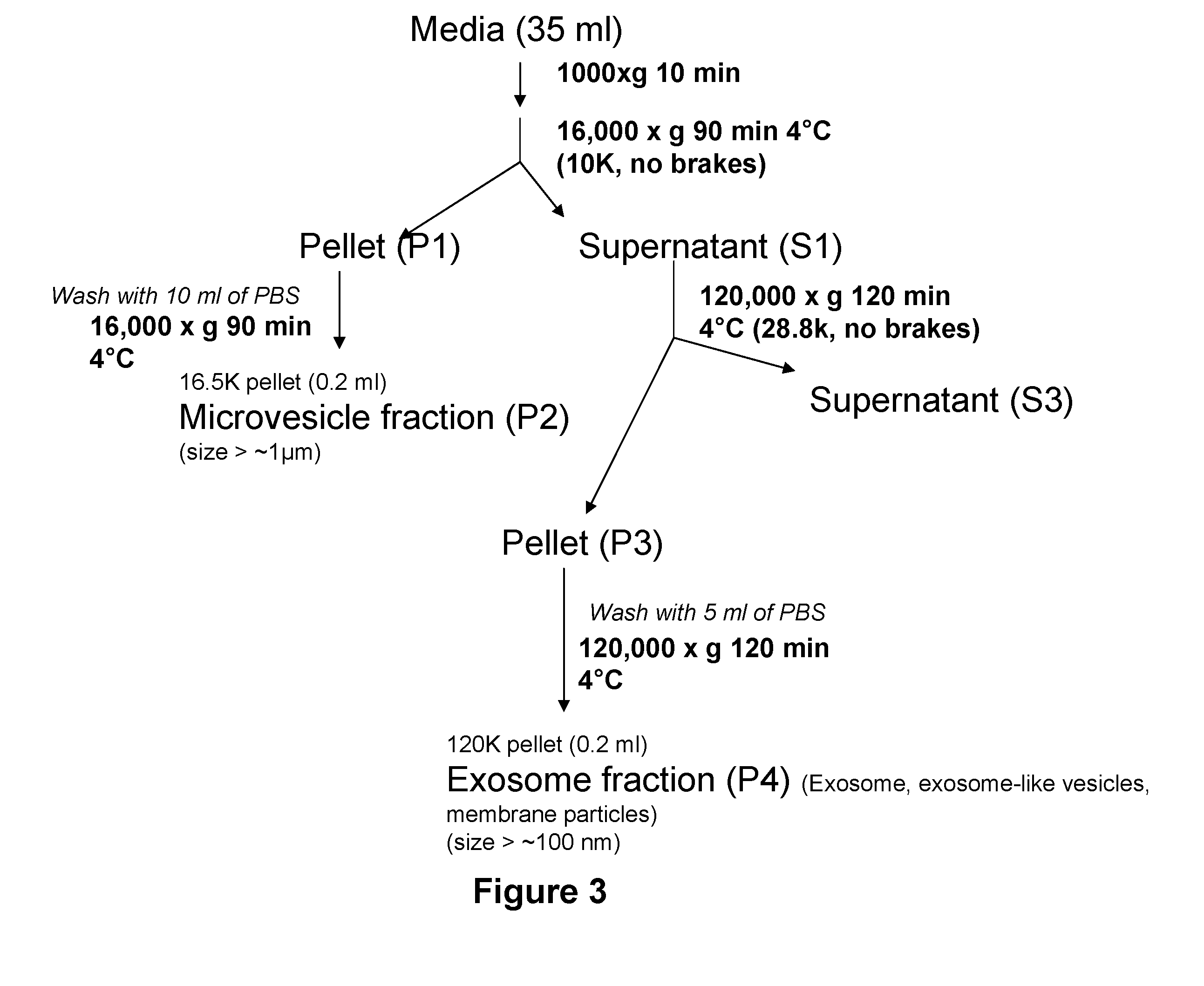 Therapeutic uses of microvesicles and related micrornas