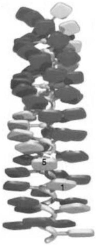 A kind of porphyrin class supramolecular helical polymer and its synthetic method