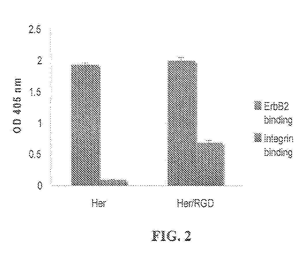 Tyrosine Bioconjugation through Aqueous Ene-Like Reactions