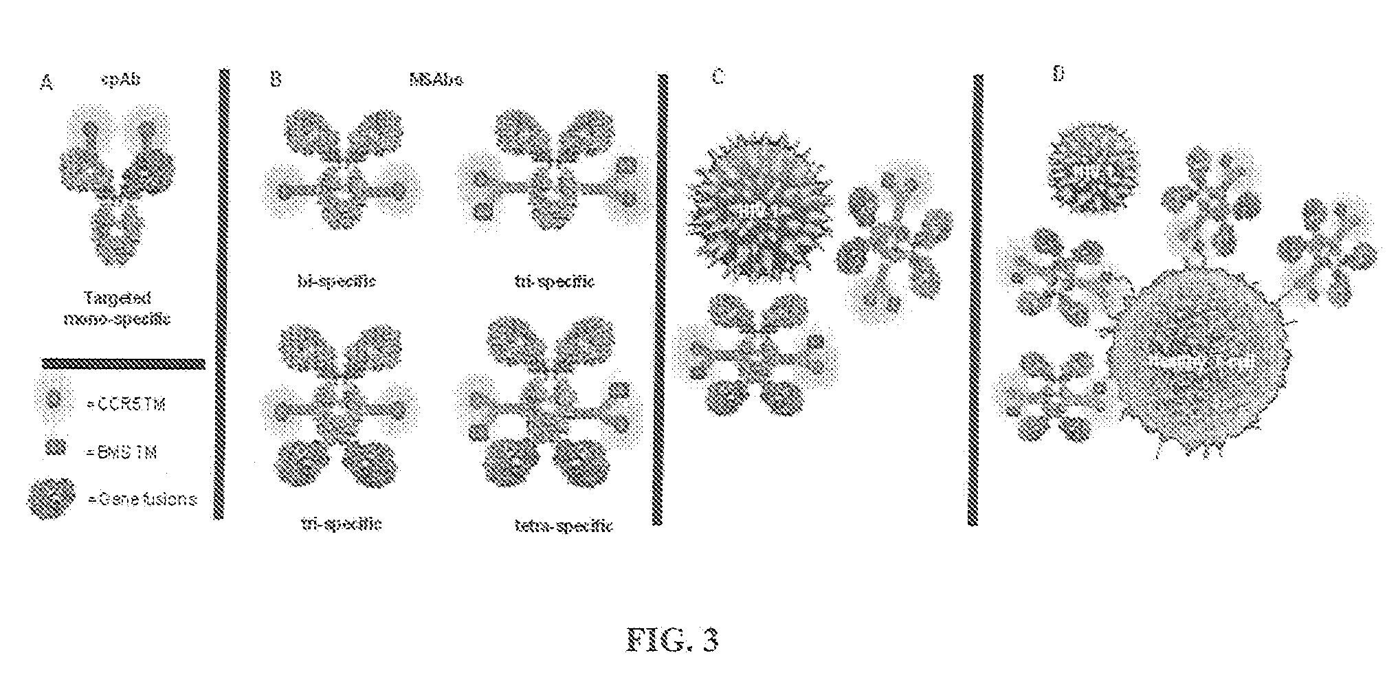 Tyrosine Bioconjugation through Aqueous Ene-Like Reactions