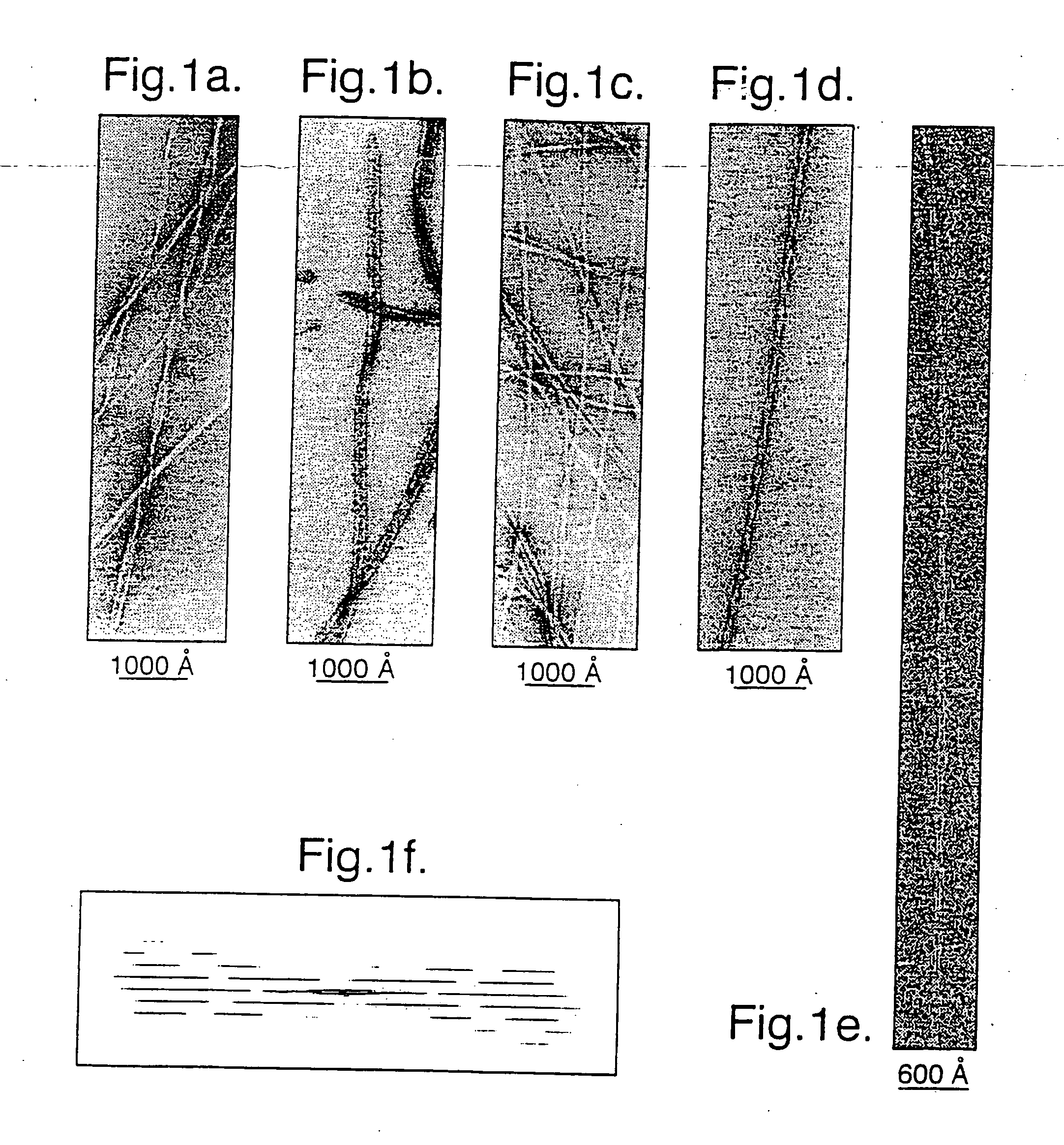 Fibrils