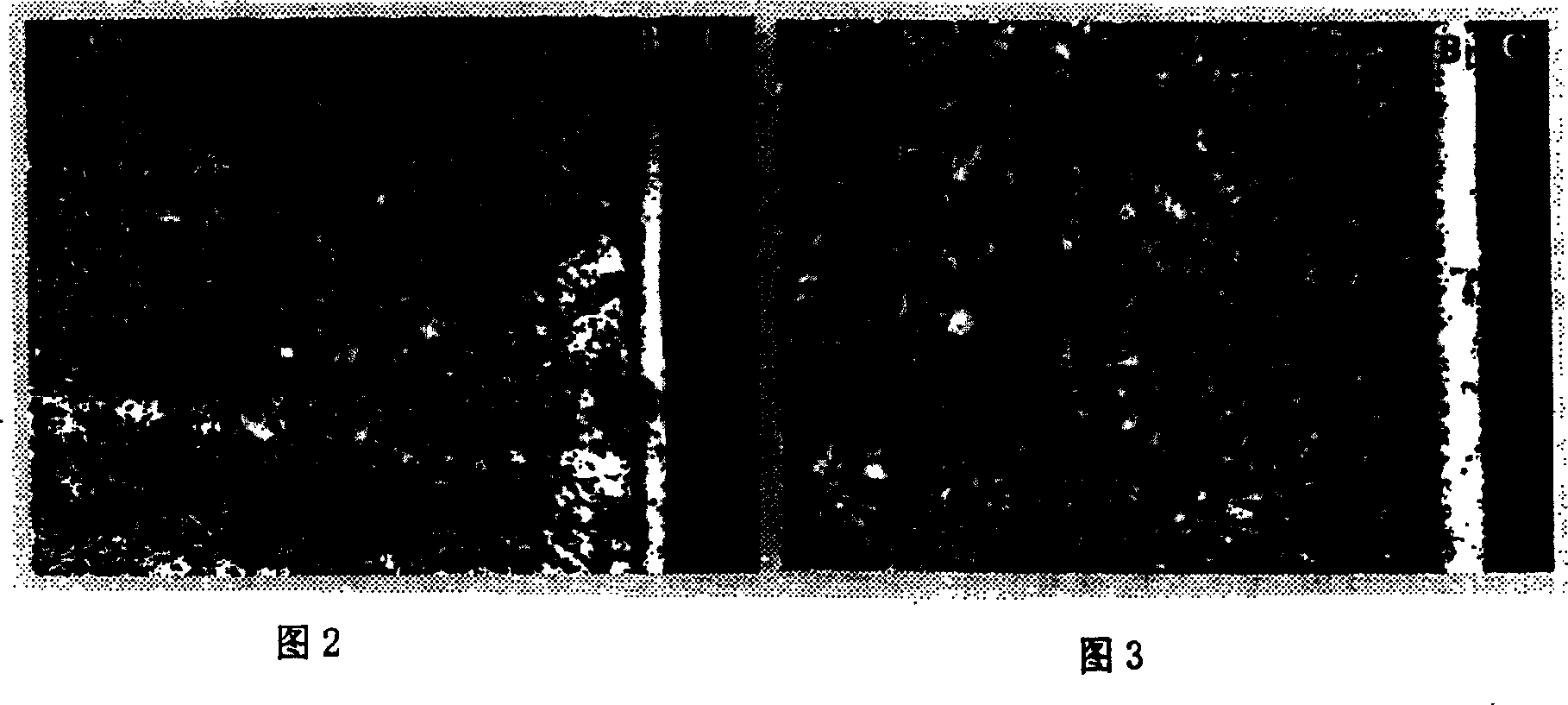 Process for producing metal carbonide hard face coating and application thereof