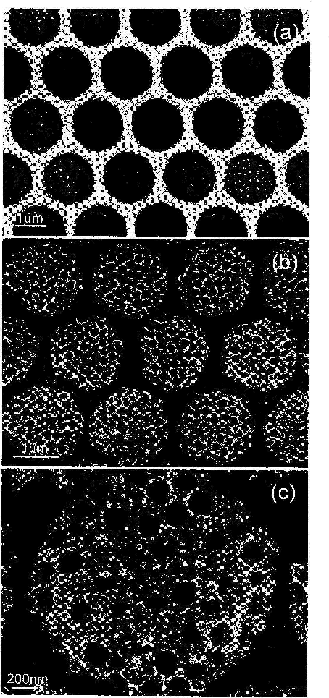 Two-dimensional and double-cycle ordered structure array and preparation method thereof