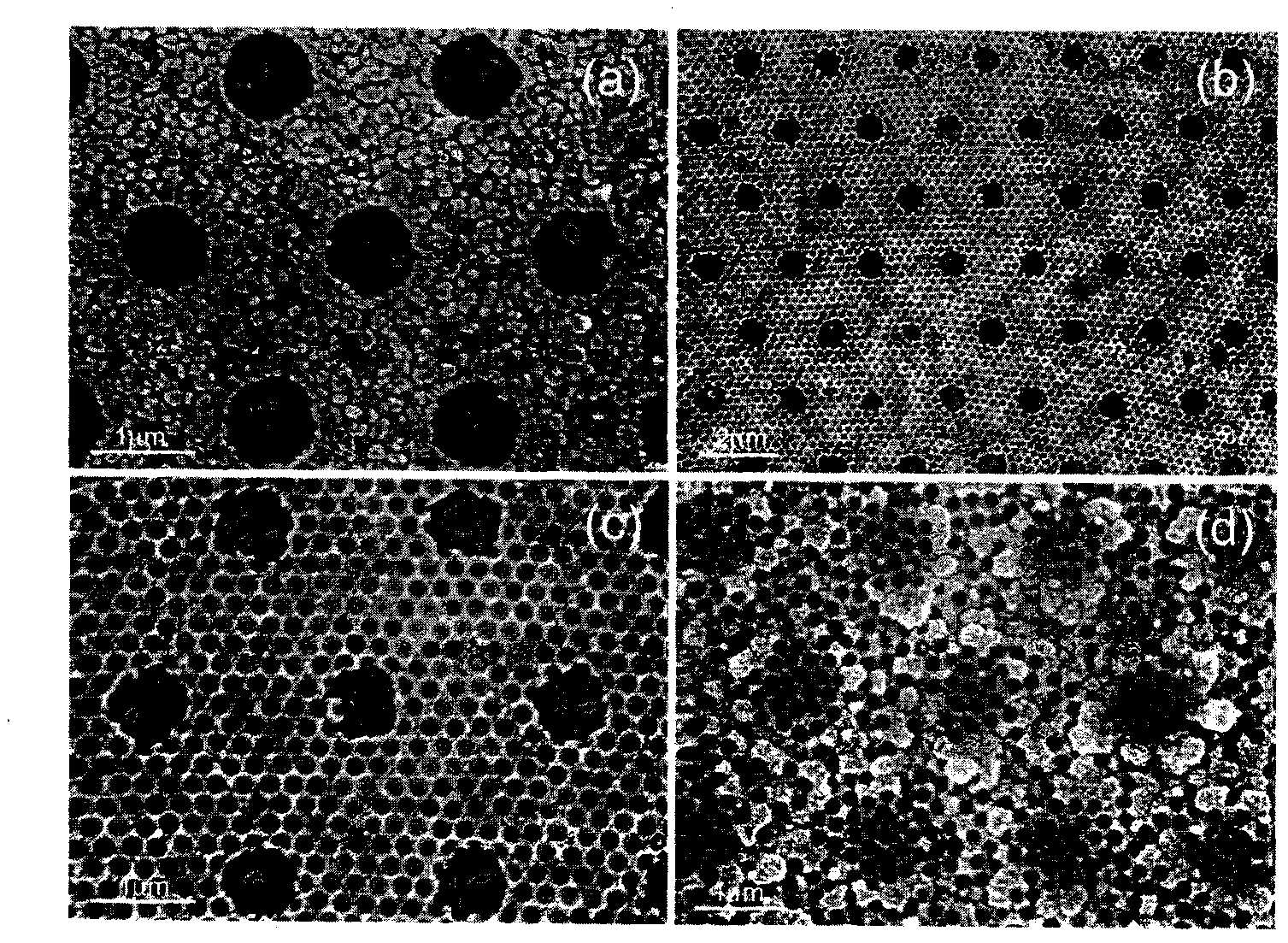 Two-dimensional and double-cycle ordered structure array and preparation method thereof