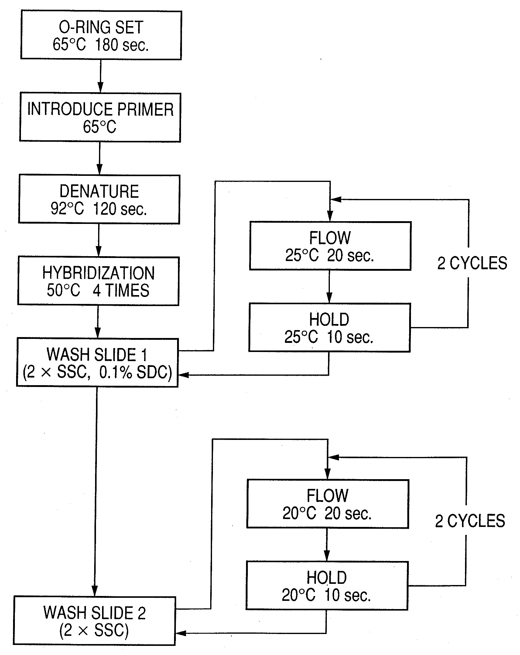 Probe, probe set, probe carrier, and testing method