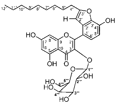 Application of Houttuynoid B in medicament for resisting tubercle bacillus