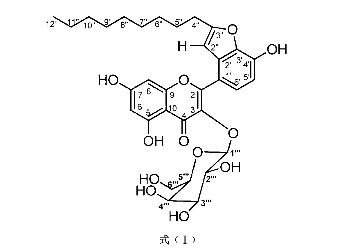 Application of Houttuynoid B in medicament for resisting tubercle bacillus