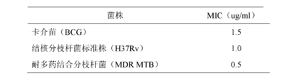 Application of Houttuynoid B in medicament for resisting tubercle bacillus