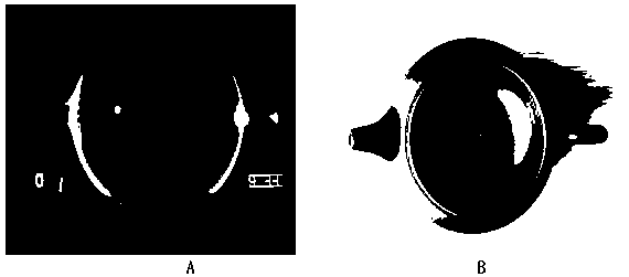 Anti-counterfeiting dark-red enameled pottery and manufacturing method thereof