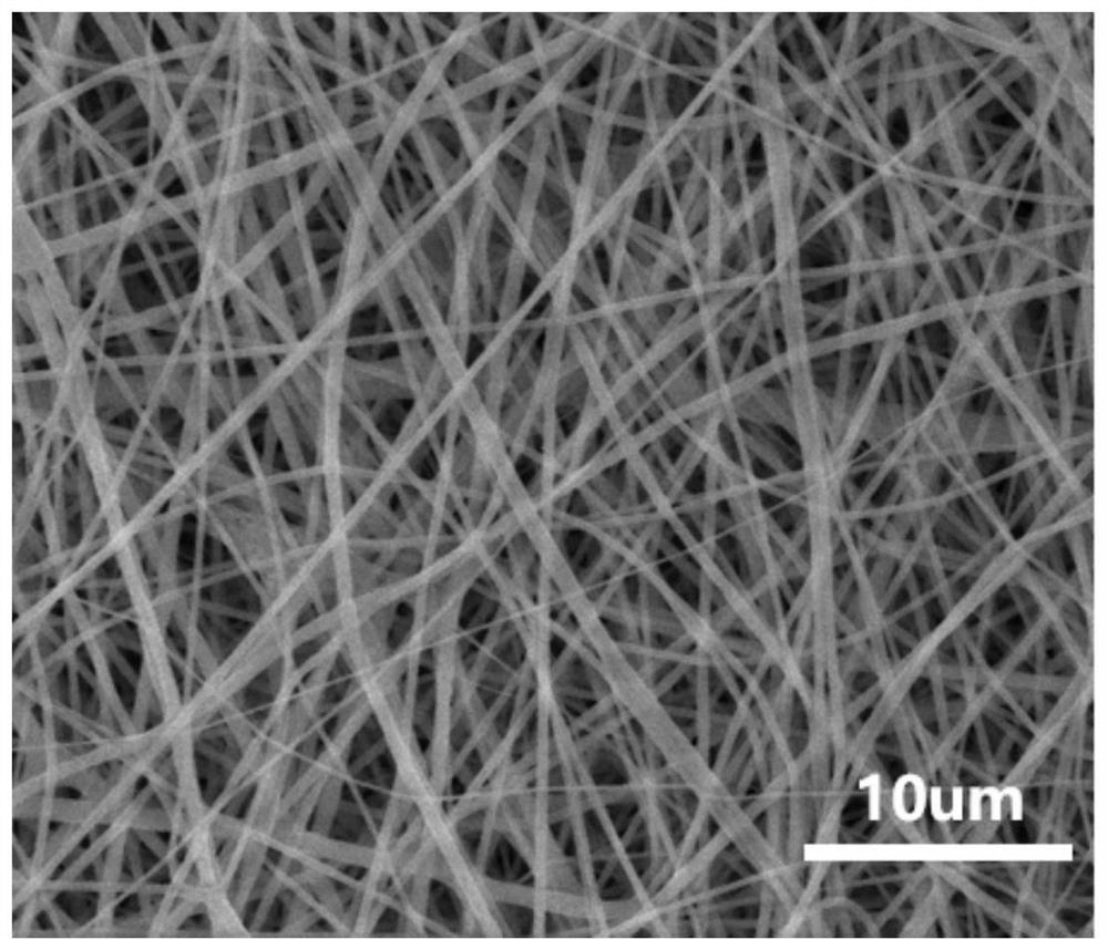 Polycaprolactone/methylacryloyl elastin nanofiber composite membrane and preparation method and application thereof