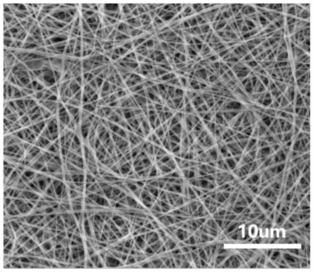 Polycaprolactone/methylacryloyl elastin nanofiber composite membrane and preparation method and application thereof