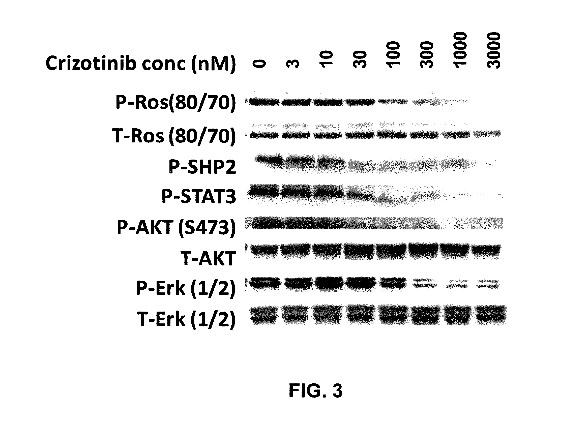 Crizotinib for use in the treatment of cancer