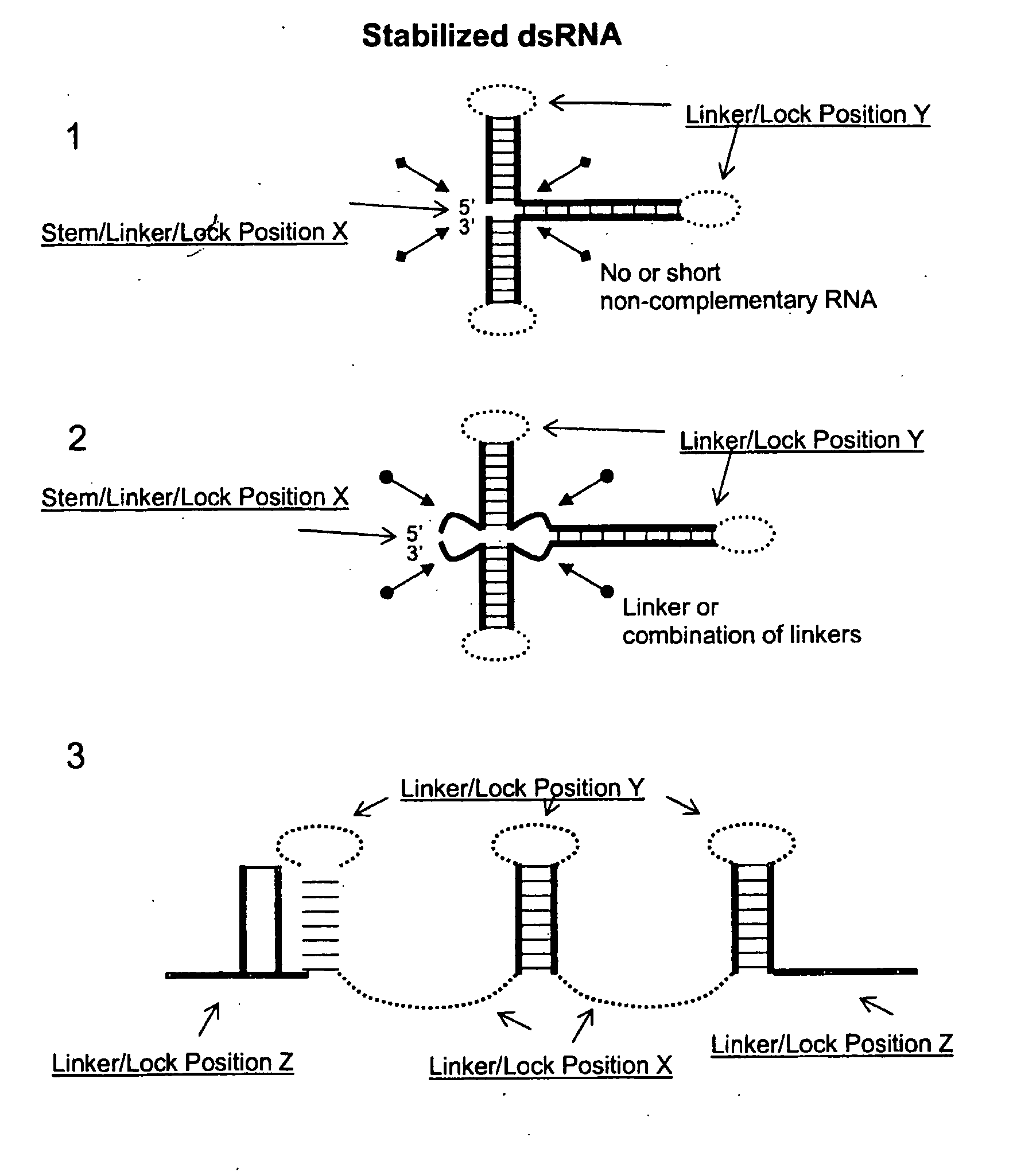 Rna constructs