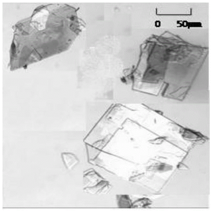 Ultrasonic-assisted coenzyme Q10 crystallizing method