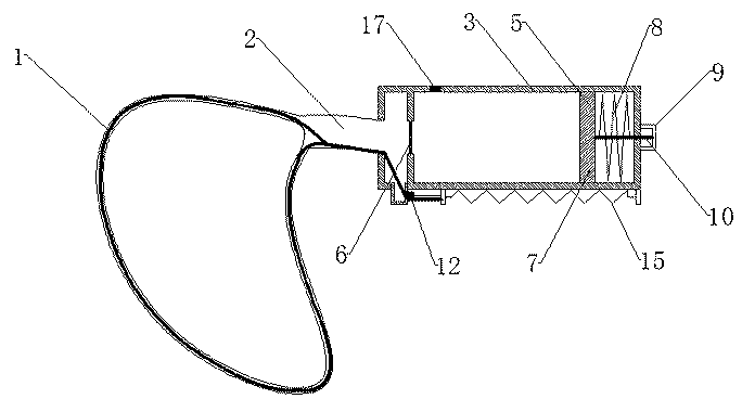 Specimen sampling bag for minimally invasive laparoscopic surgery