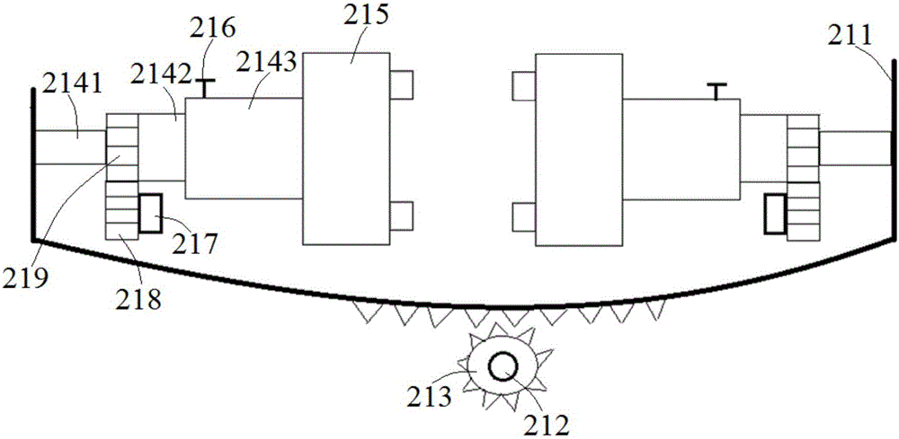 Packaging film grain acquiring device