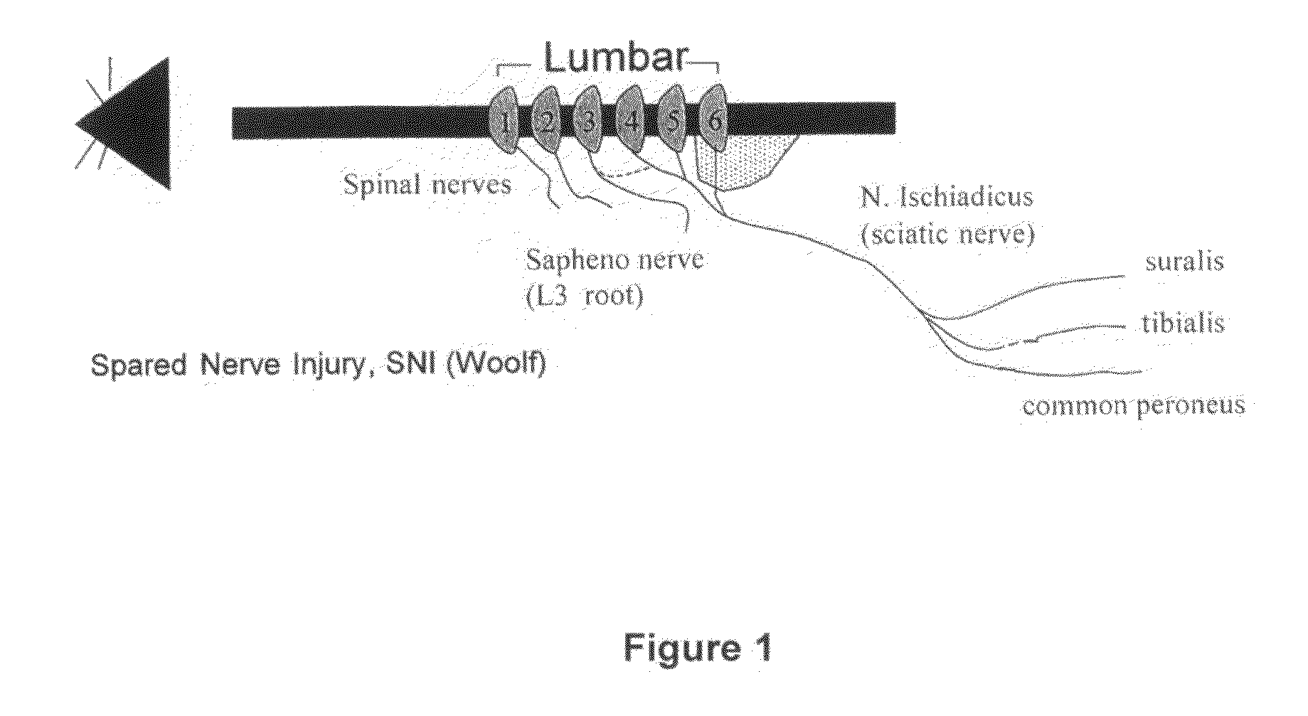 Inhibitors of protein kinases