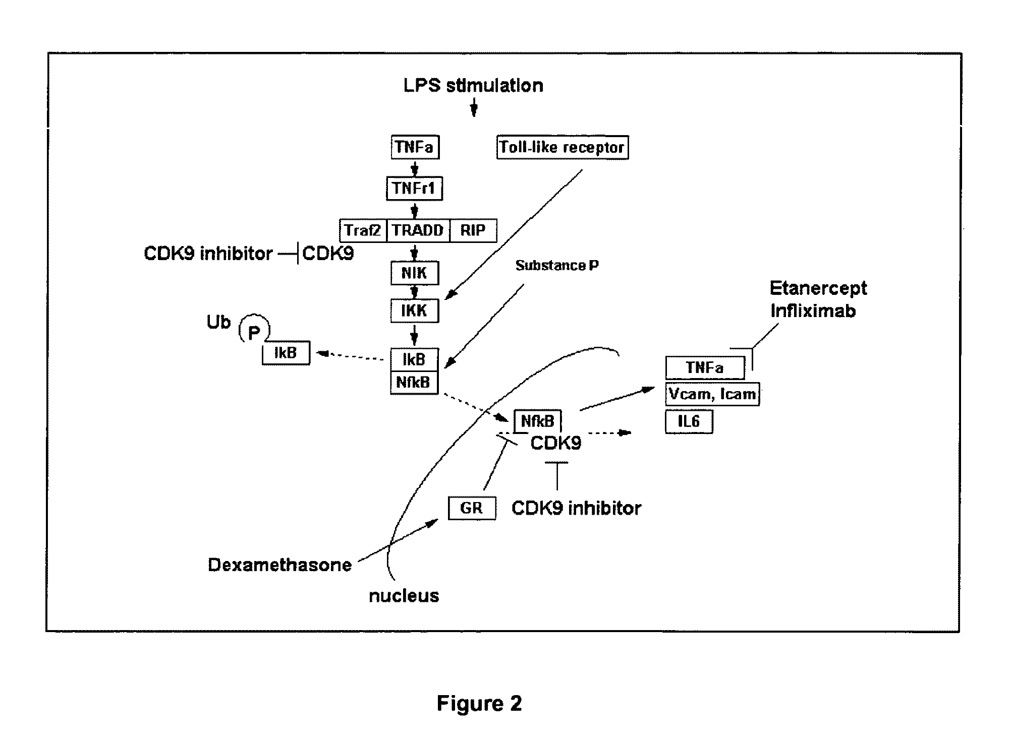 Inhibitors of protein kinases