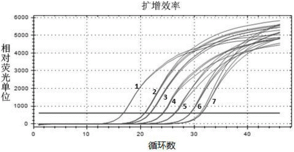 Detection kit and detection method for Cyprinid herpesvirus III