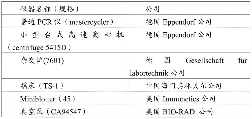 A combination of four first-line drug resistance gene specific fragments of Mycobacterium tuberculosis and its application