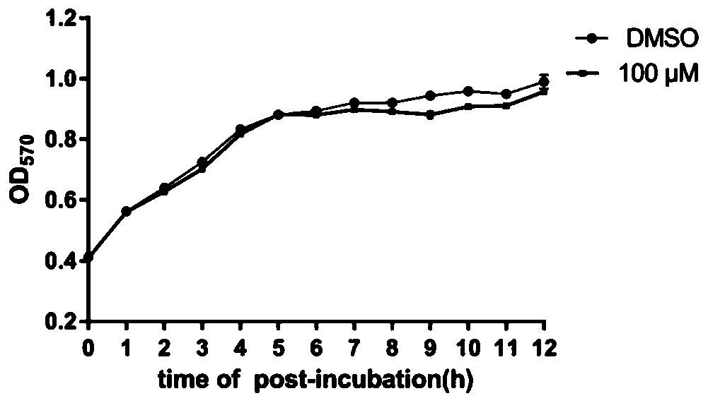 Application of myricanol in preparing drug for resisting virulence of Gram-negative bacteria